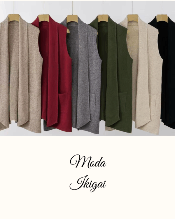 Chaleco Francia - Imagen 1